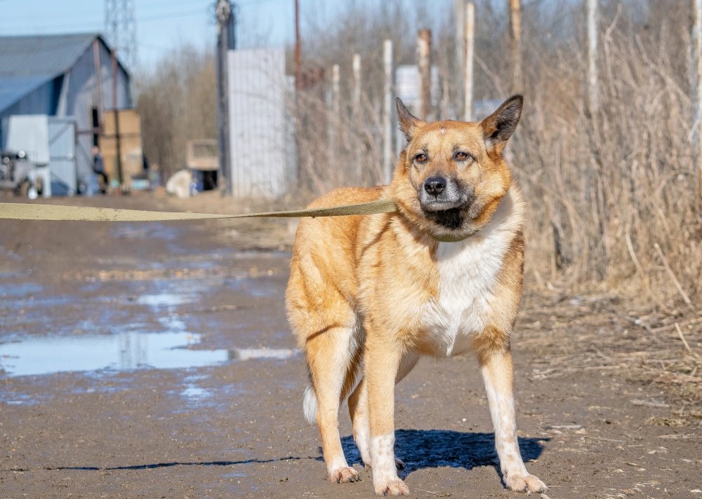 Марта