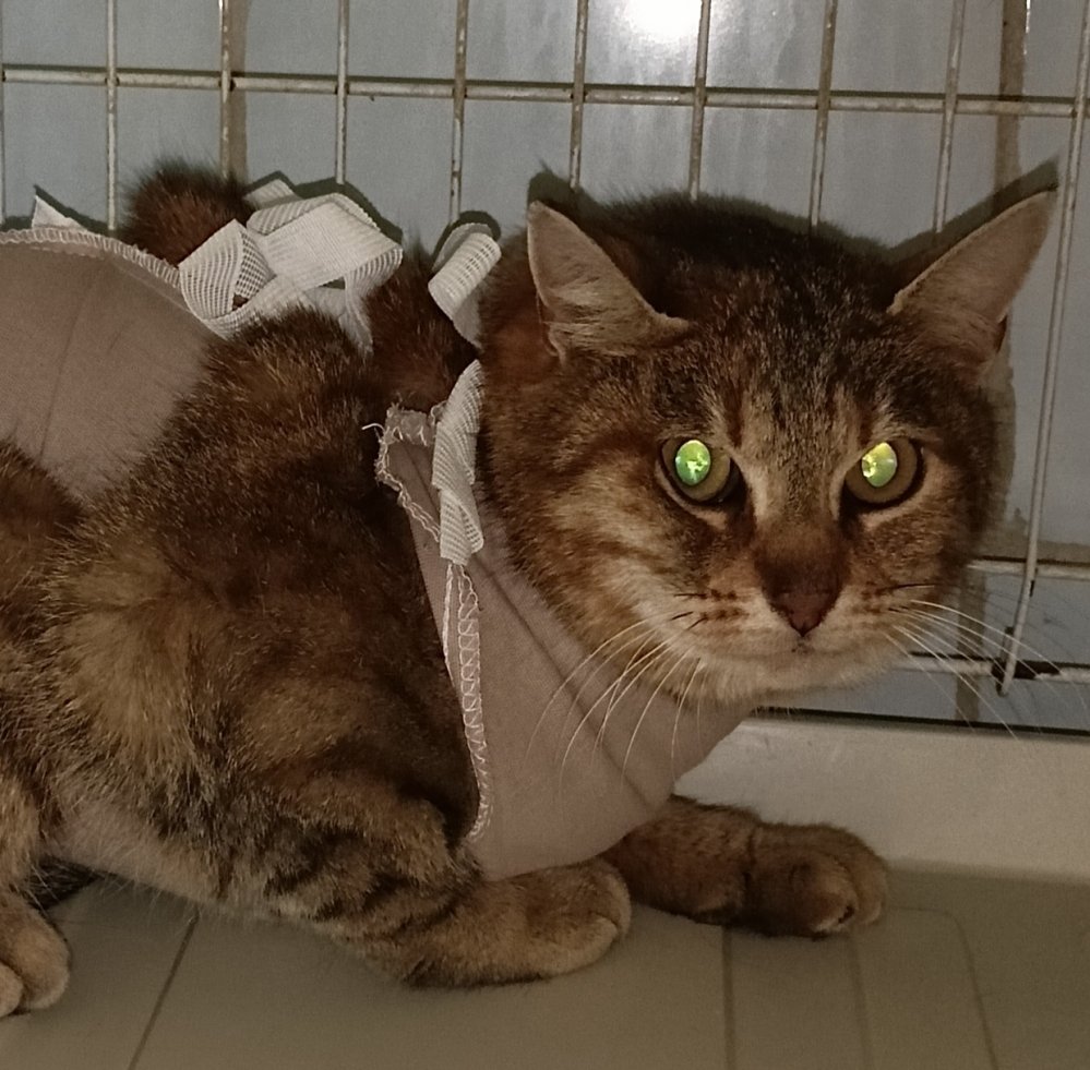 СантаЛючия