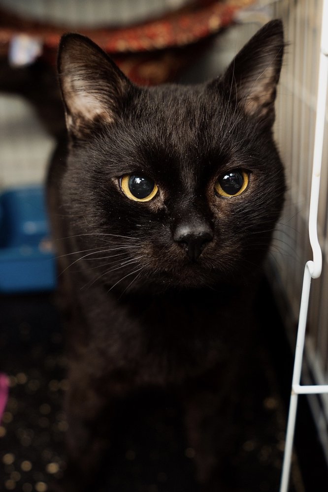 Мальчик первый