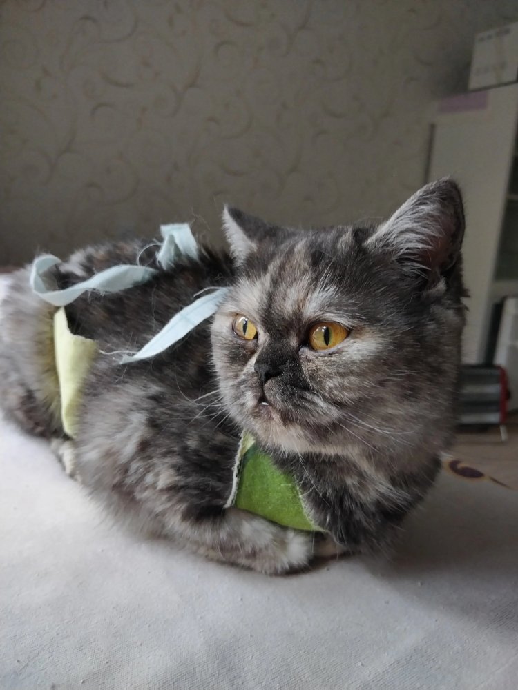 Клементина